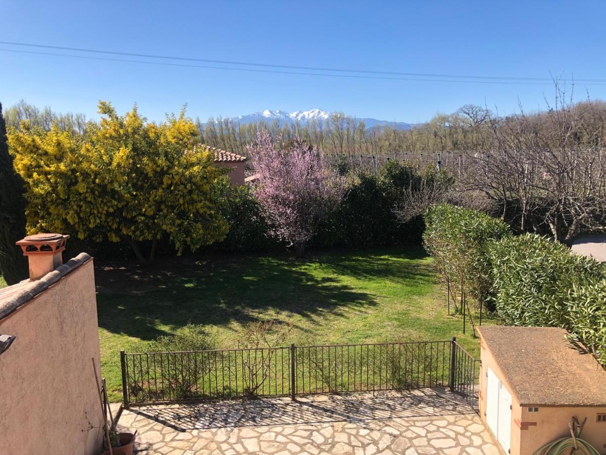 Au Mimosa -Gite Le Canigou Passa Exterior foto